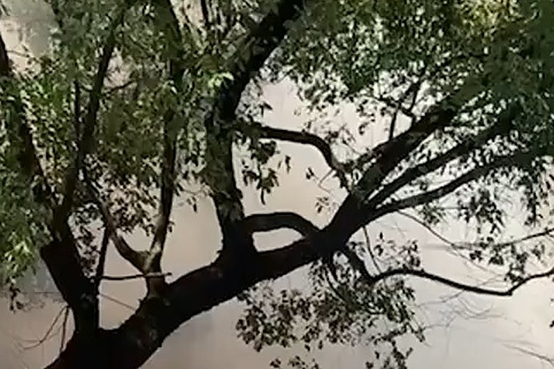 湖南平江42岁的寻某某 绿帽丈夫 怒浇汽油纵火 导致三死一伤