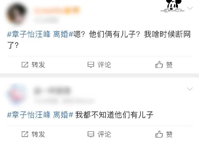 曝章子怡汪峰离婚子女抚养权划分，网友：章子怡啥时候有儿子？