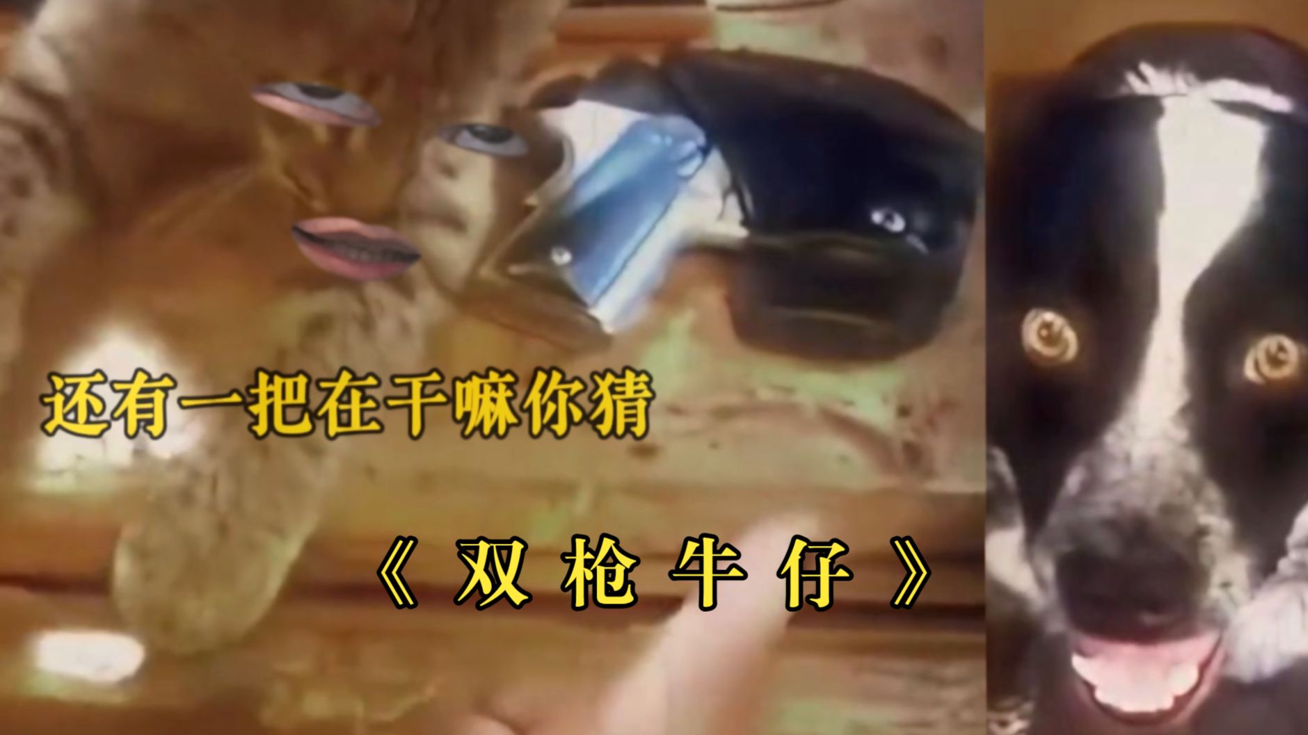 《 双 枪 牛 仔 》