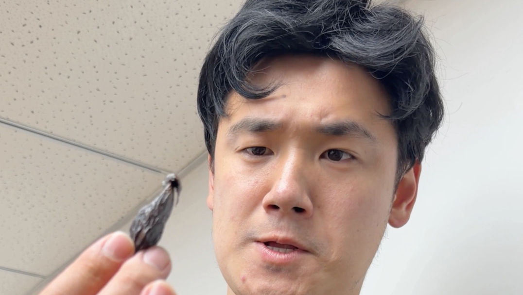 寝室睡个觉真难