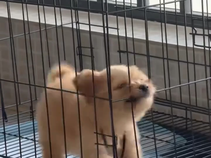 怎么那么搞笑