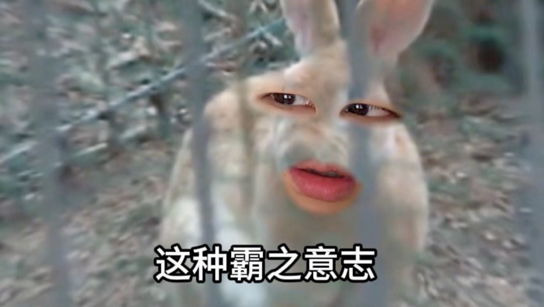 《非霸凌不可吗》