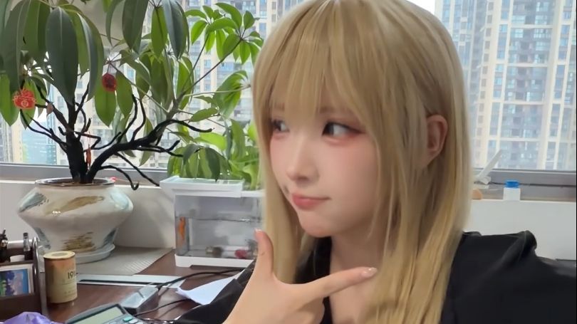 《找工作是你的谎言》
