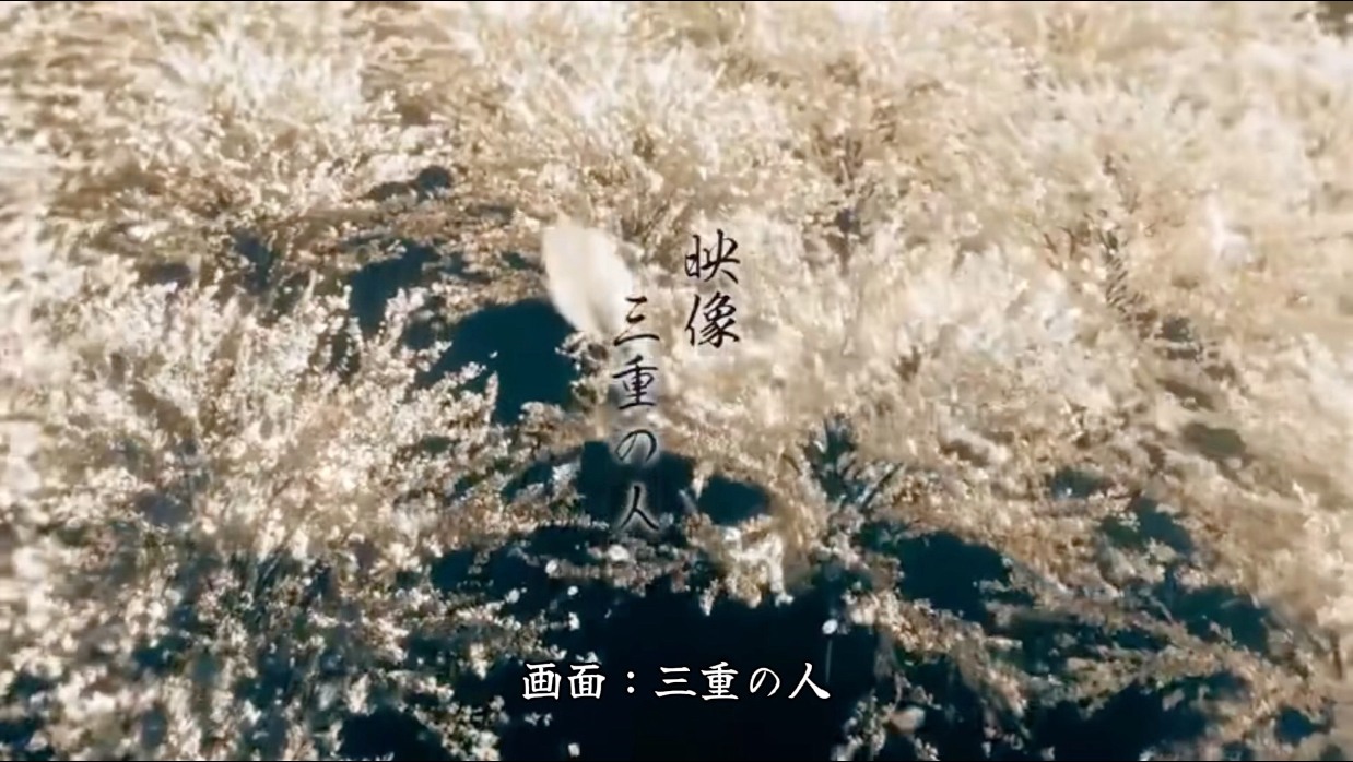 【合唱】千本樱（100000人）                                     【B萌应援】
