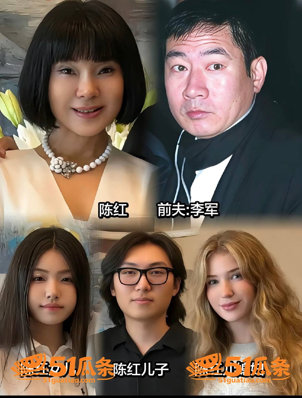 财产纠纷 陈红李军 相关图片11