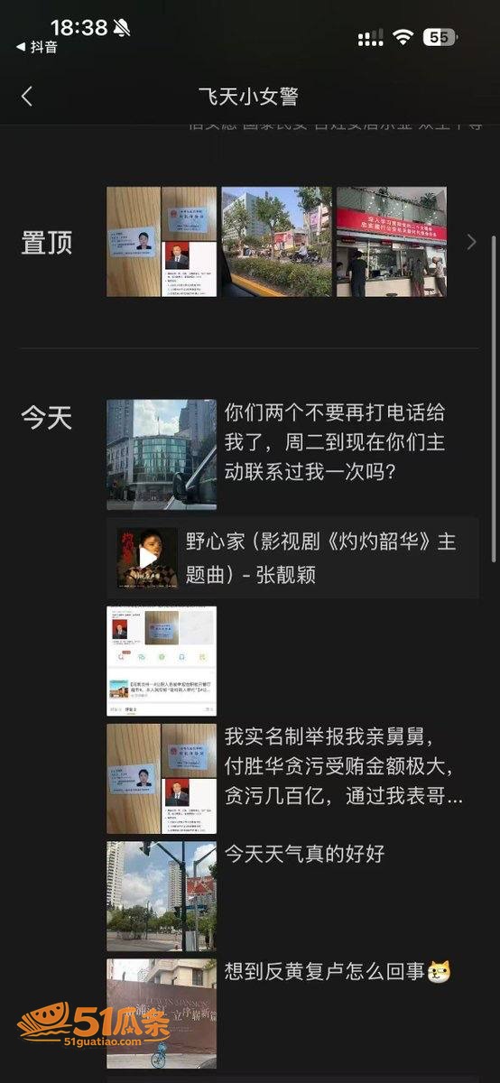 付胜华 侄女实名举报相关图片5