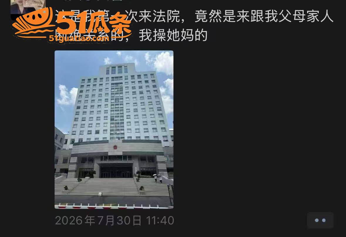 付胜华 侄女实名举报相关图片9
