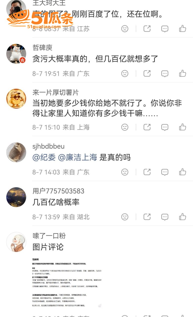 付胜华 侄女实名举报相关图片11