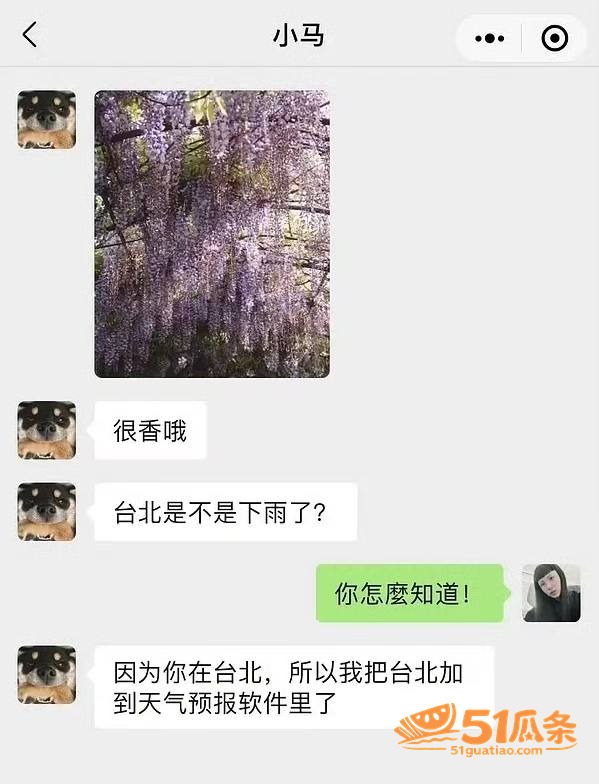 明星吃瓜 马嘉祺 隐相关图片38