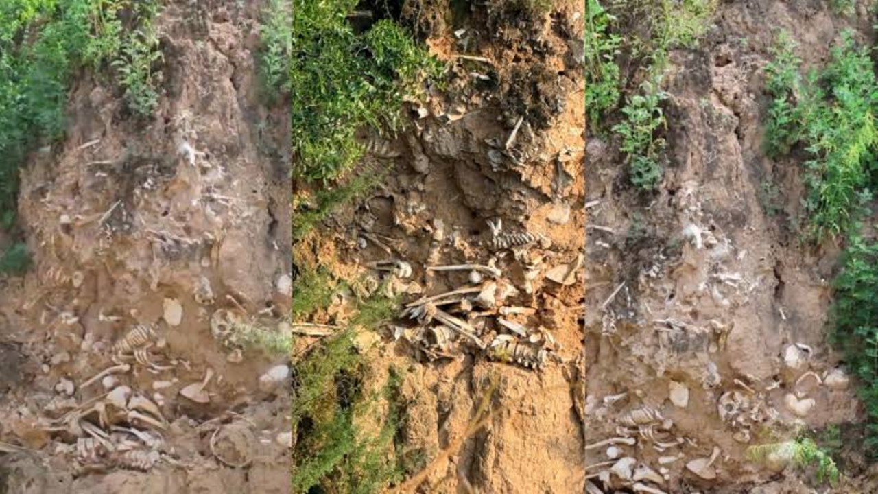 山西运城一路面塌陷处现大量白骨