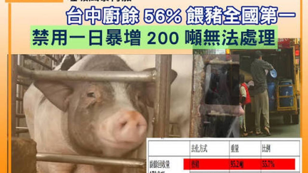 新规明确厨余垃圾不能直接喂猪，背后出于什么考量？会带来哪些影响？