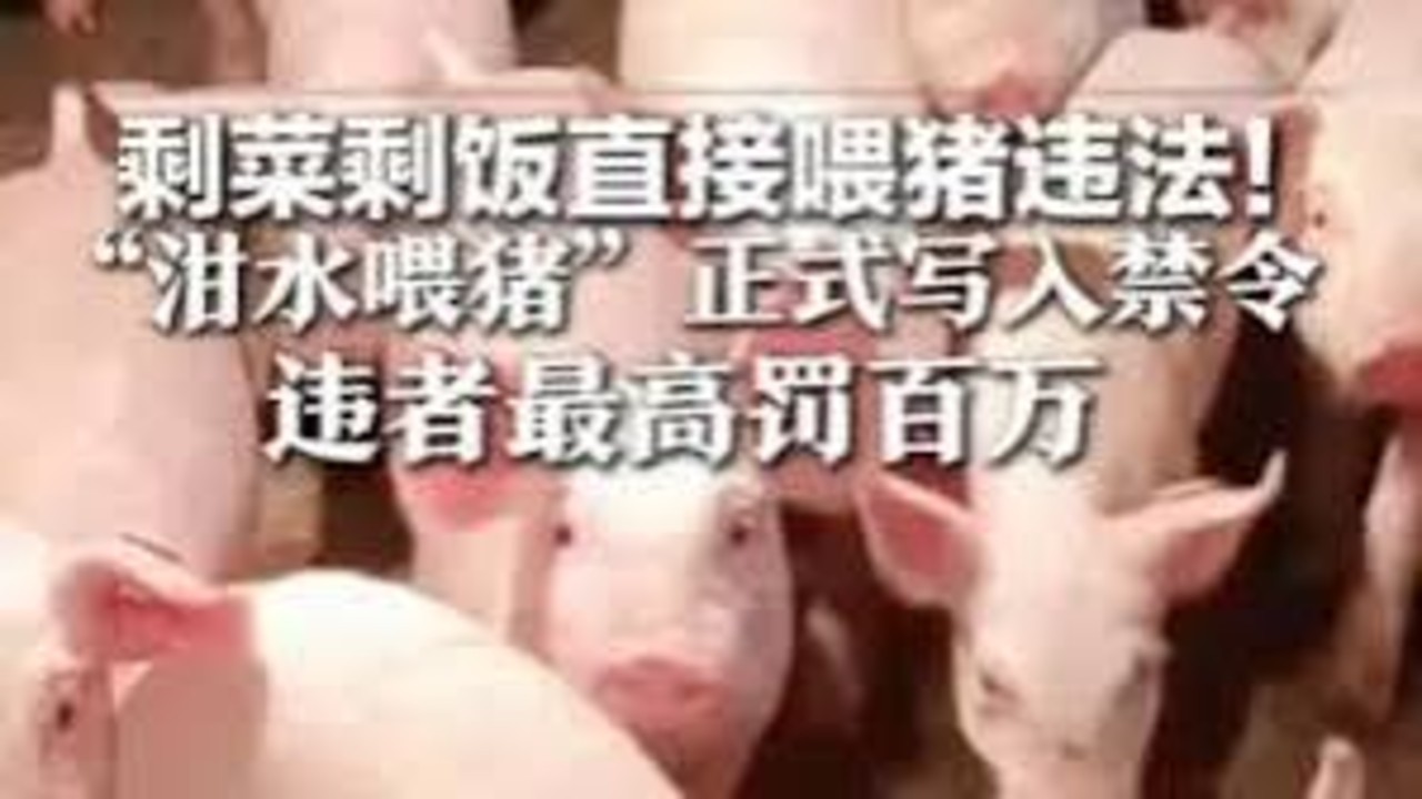 剩菜剩饭直接喂猪违法