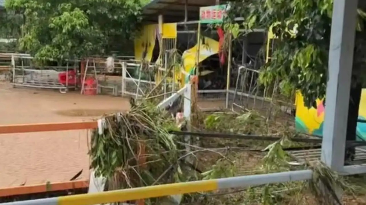 广西一动物园灾前将猛兽区锁死致三只狮子溺亡，如何看待这一做法？这类紧急情况动物园应有哪些科学应急措施？