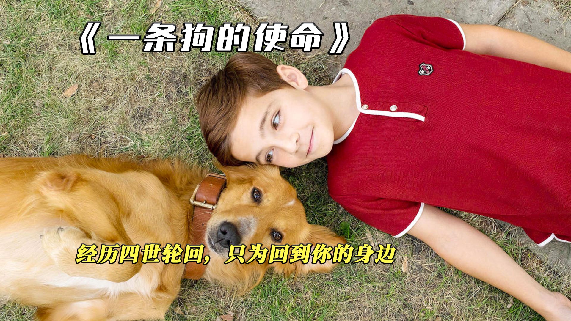 经历四世轮回，只为回到你的身边