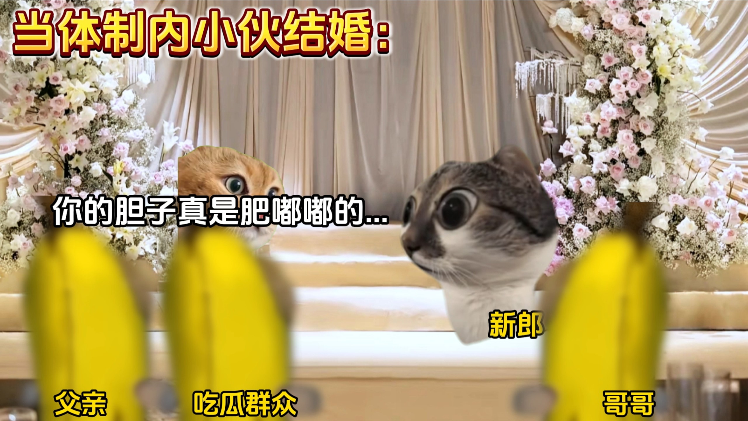 “可恶的超兽居然伪装成我的新娘”