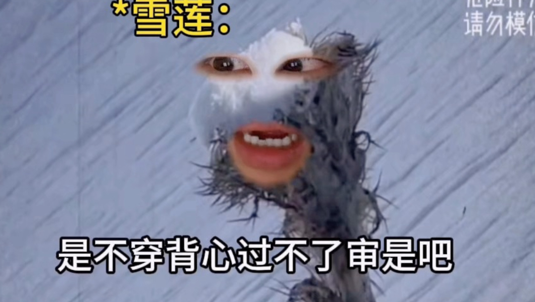 《背心尊者》