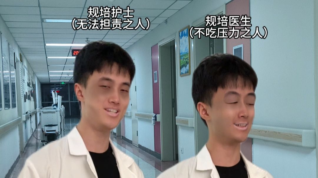 砖家（夸张改编）