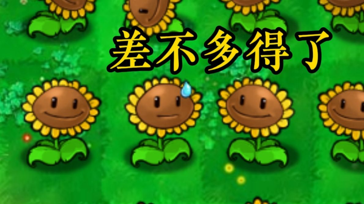 【招笑版】新植物2:朝阳葵