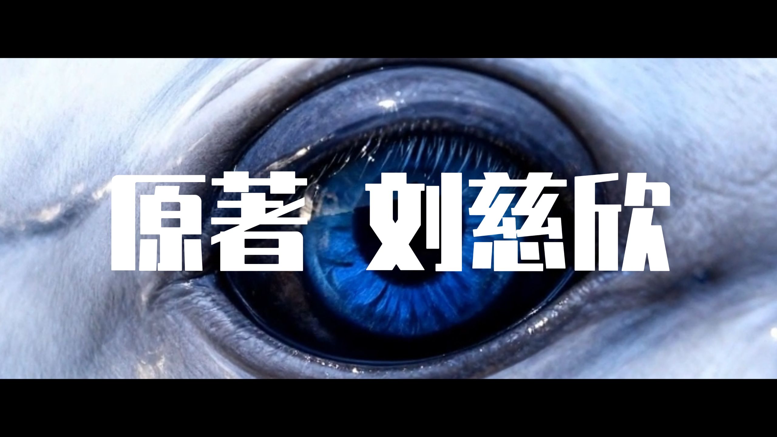 一个人，耗时18个月，2万元成本，手搓94分钟以刘慈欣小说《山》为故事原型的AI仿真人科幻电影【ai全民制作人】