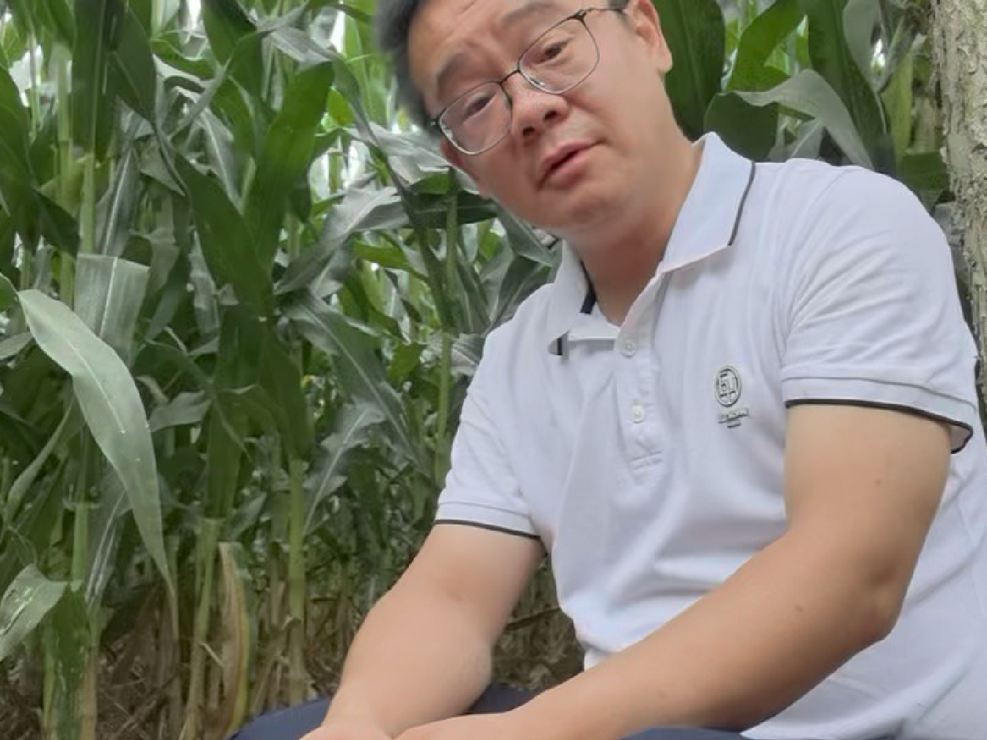 和那边的爷爷奶奶说说话，我一切都好
