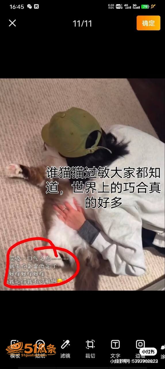 乐华奥利 强行否认女相关图片22
