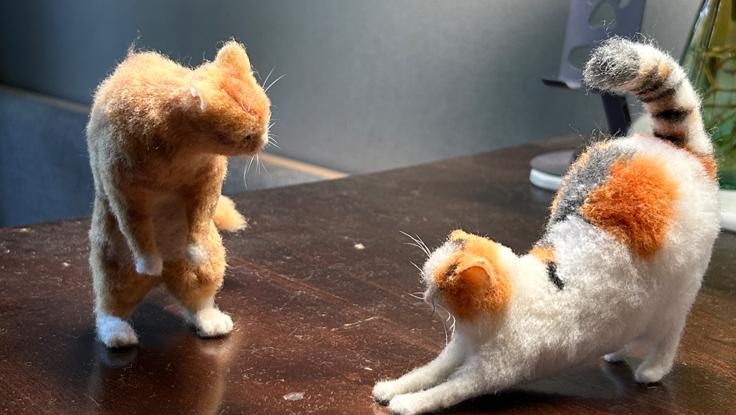 用羊毛做一只抽象橘猫