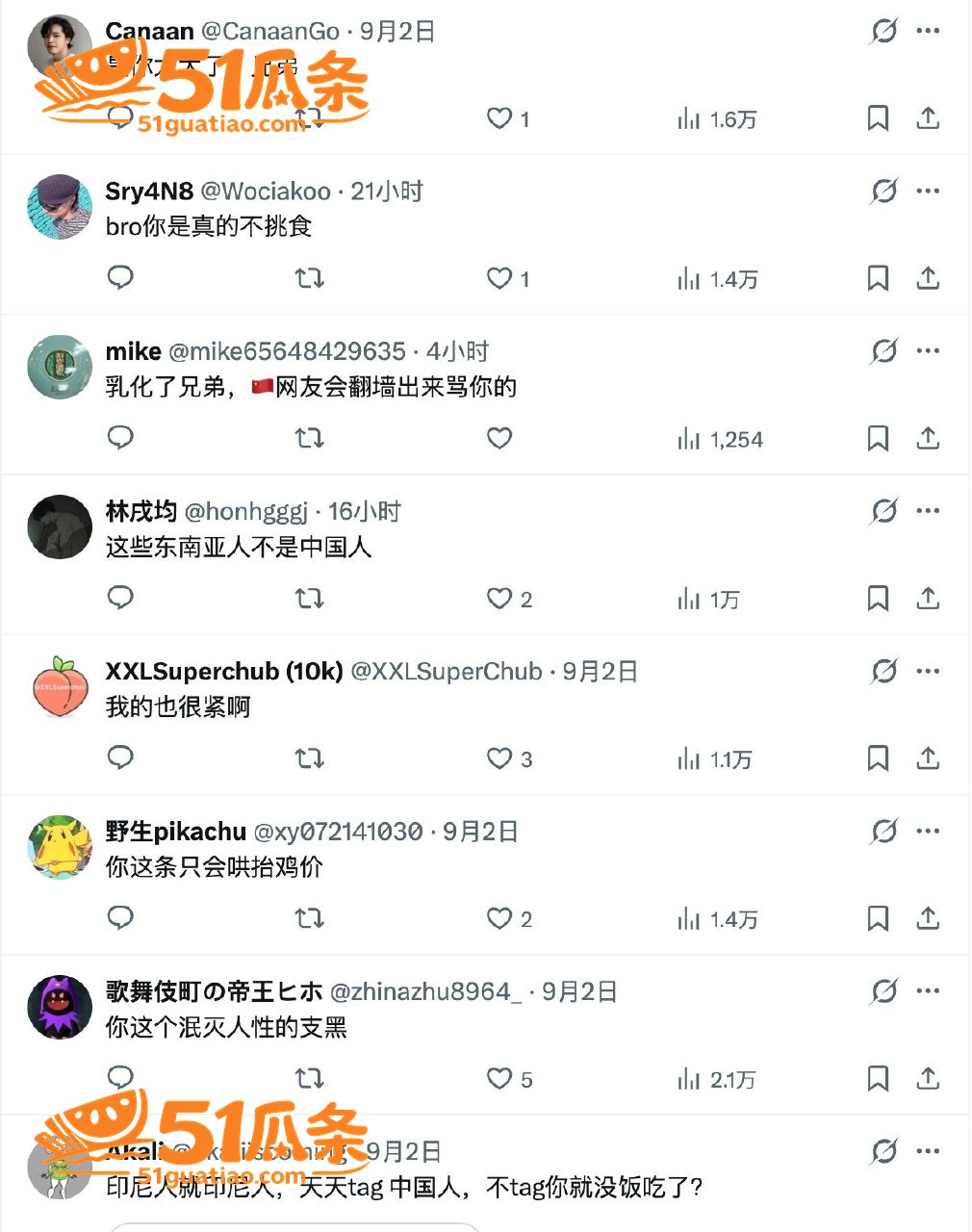 Gattouz 国际相关图片9