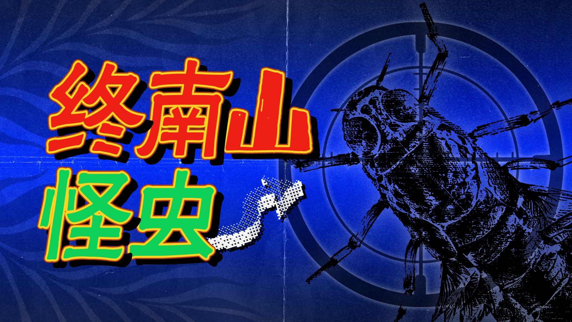 万人追更的终南山怪虫，只有我们拍到了真相！