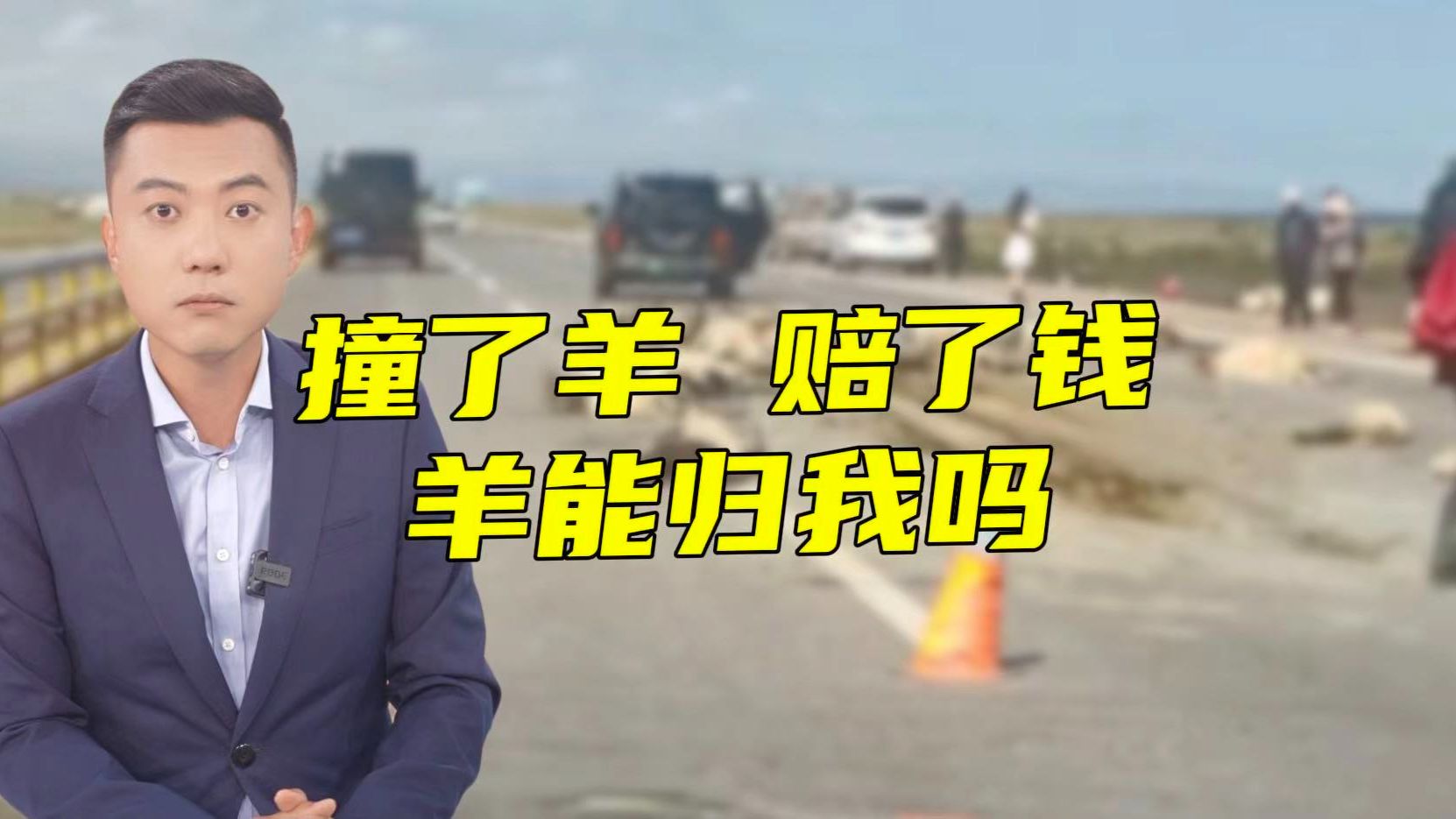 一码归一码！车撞羊群赔钱≠羊归肇事方！【主播说三农】
