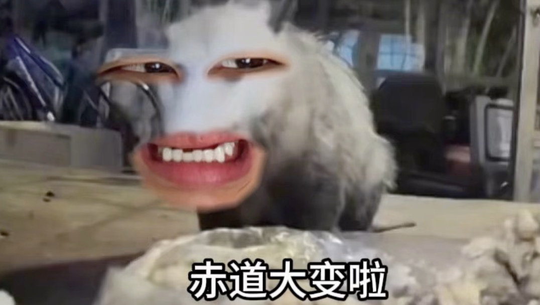 《你往里面加了什么》