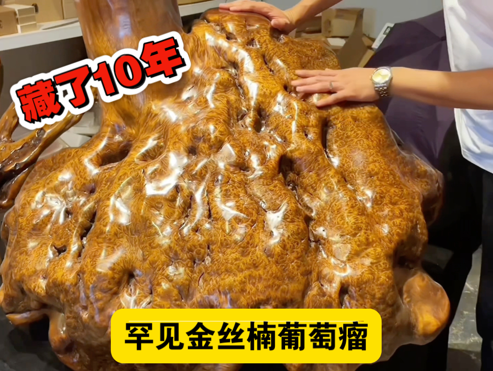 花200000买个金丝楠树瘤，放家里藏了10年，锯开一看震惊全场