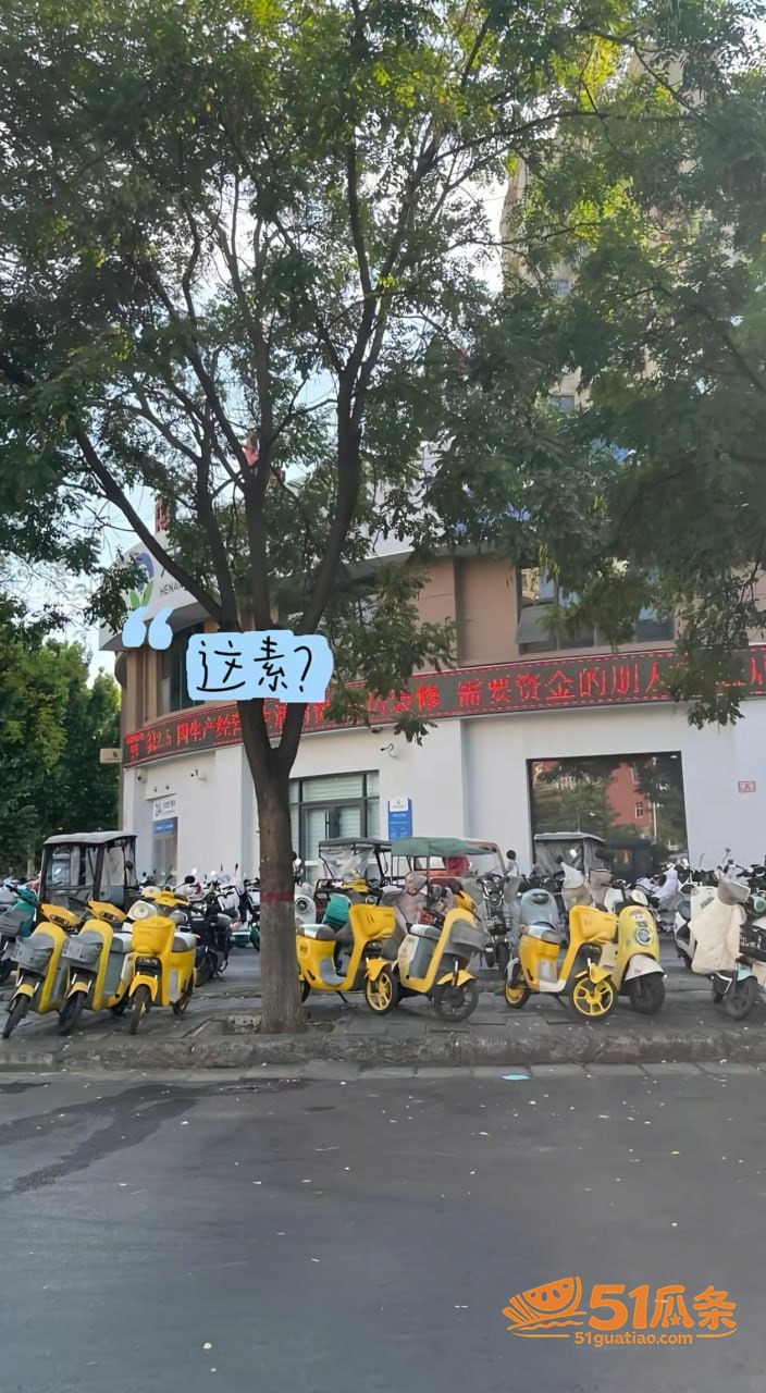 辉县南关 街头持械围相关图片1