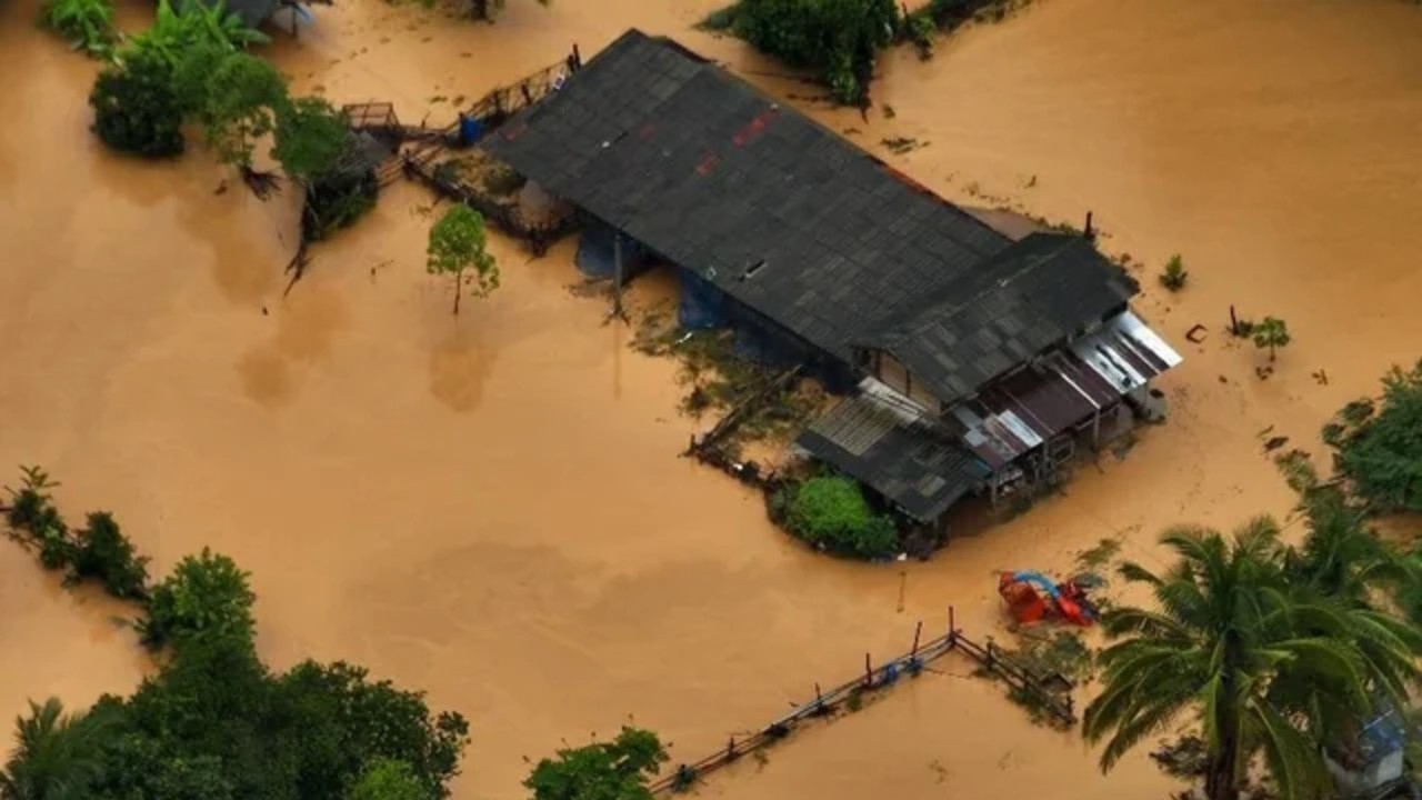 泰国近日持续大雨，部分地区稻田遭洪水淹没。