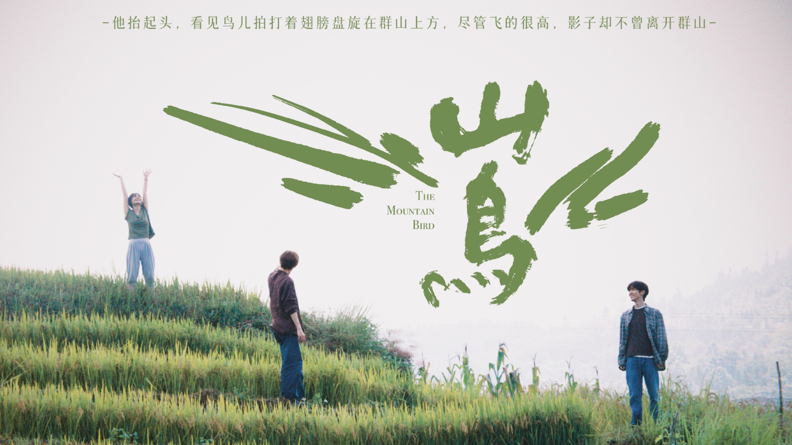 夏果新片《山鸟》