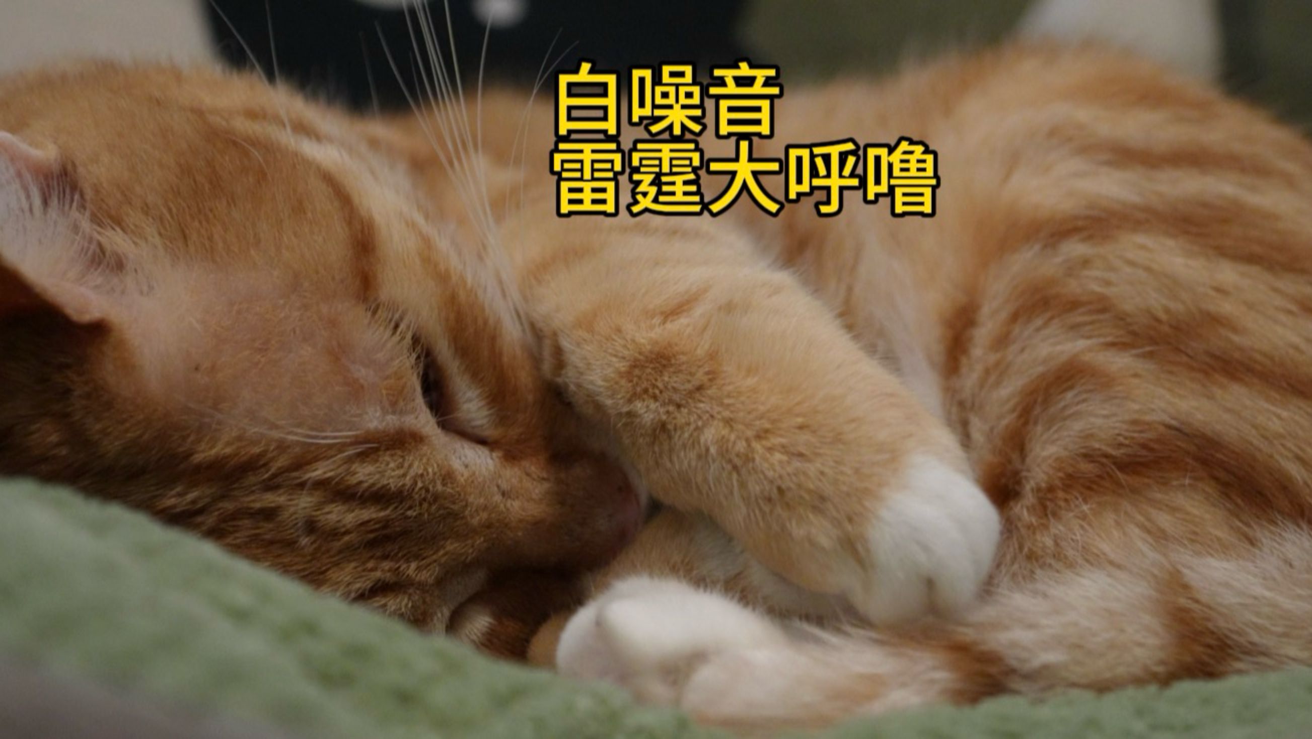 谁家开水壶响了