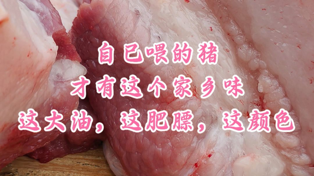 自己喂的猪，才有这个家乡味，这大油，这肥膘，这颜色