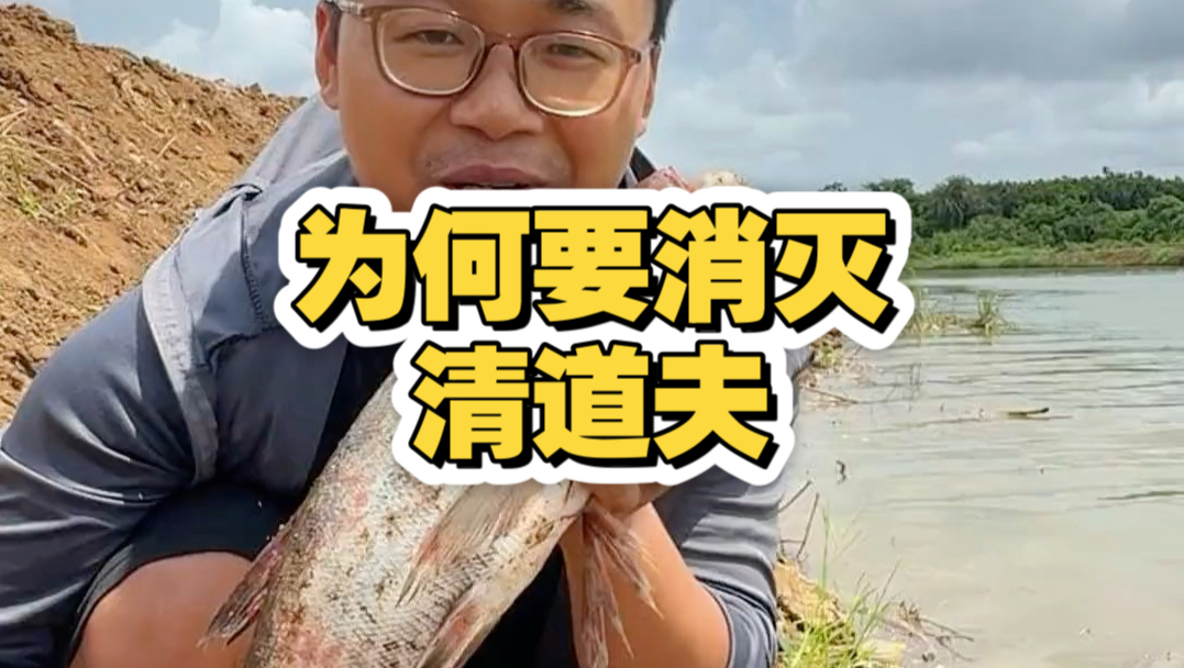 男子放生清道夫引热议，这鱼为何非灭不可？再遇本土大鱼的开心