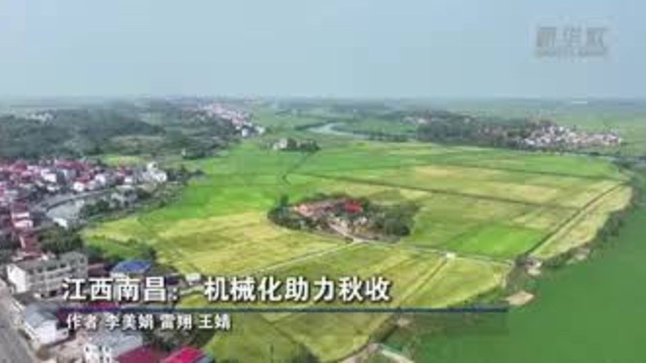 男子夜间下田抓黄鳝误抓毒蛇被咬