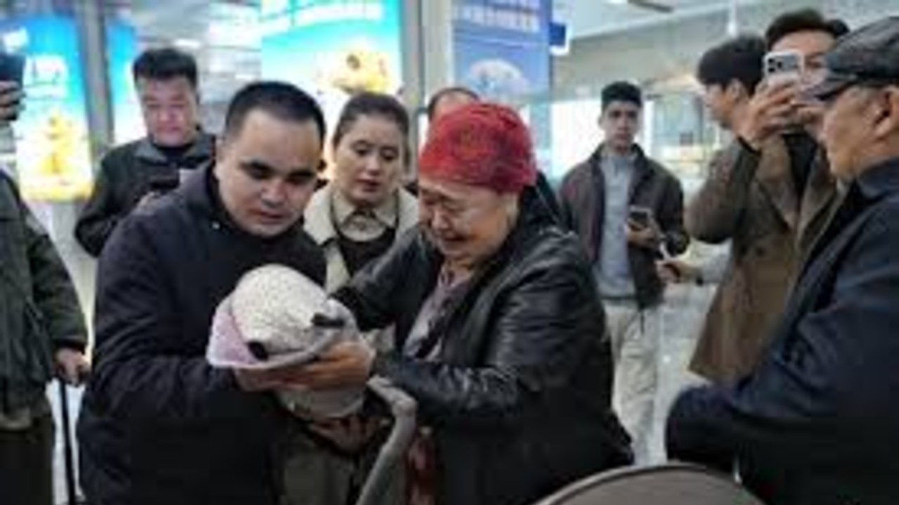 新疆五胞胎平安抵达乌鲁木齐