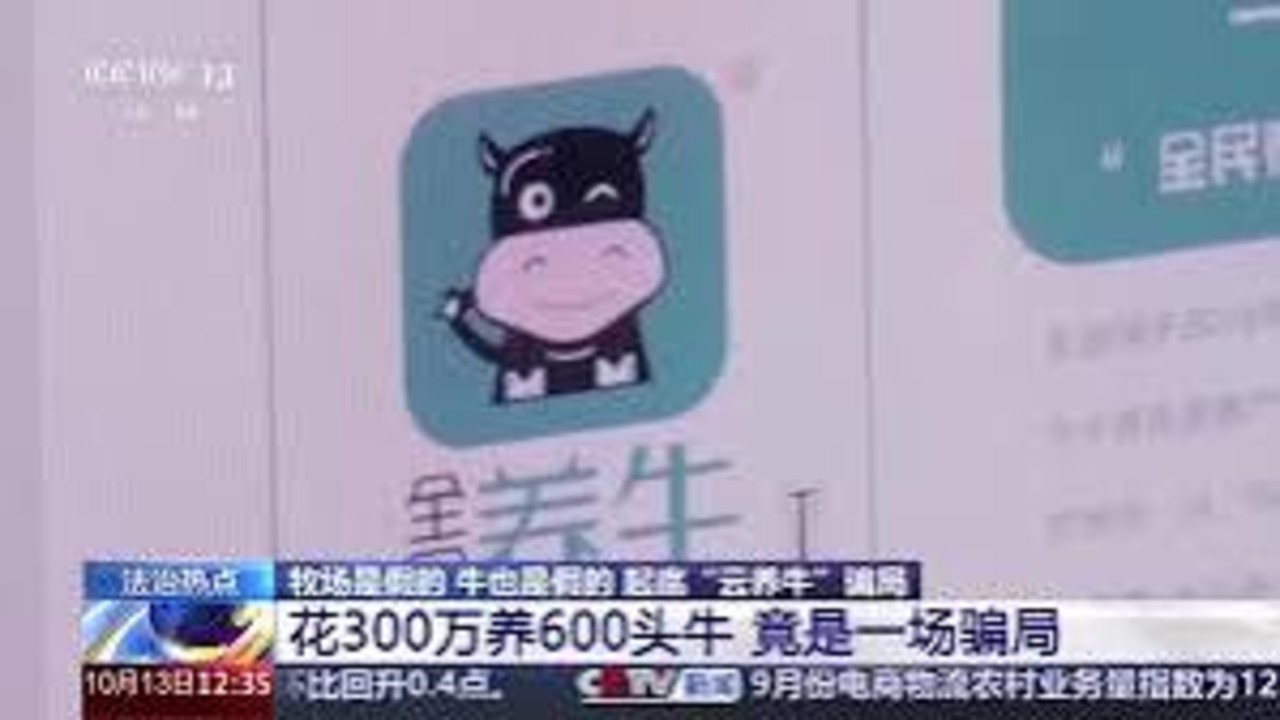 央视起底5.6亿“云养牛”骗局