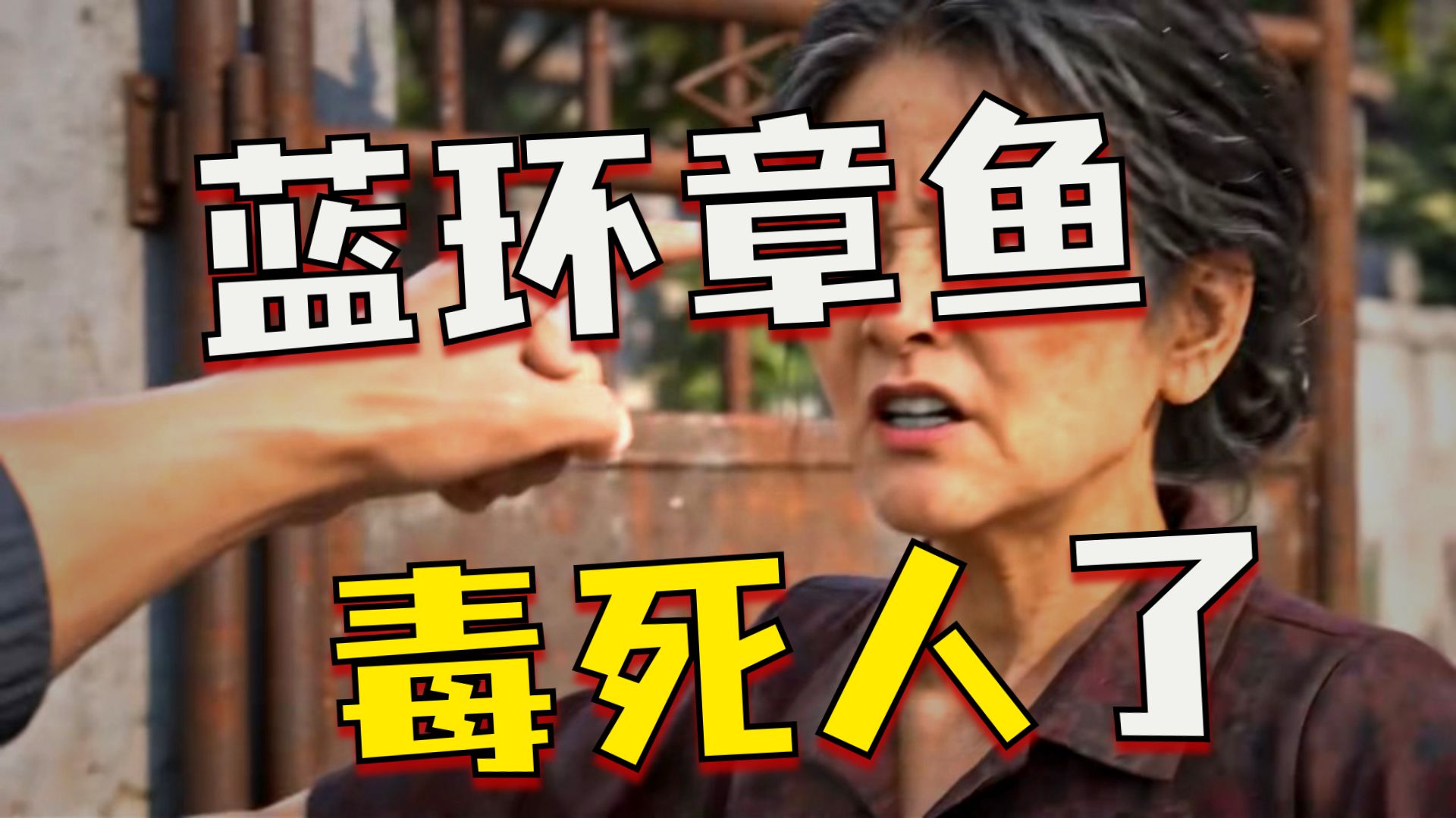 【抢先版】碰章鱼你就摊上事了