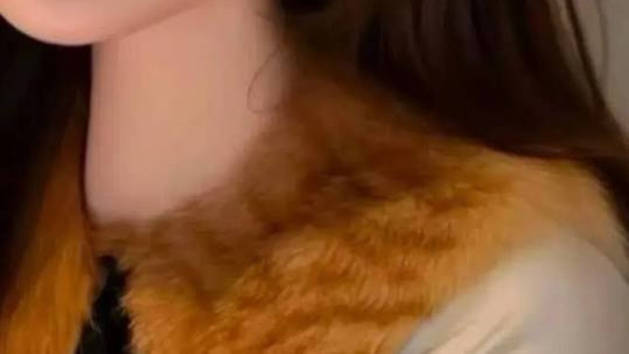 如何看待网红女装品牌 CHICYOU 因使用狸花猫背部毛皮制作毛领遭网友抵制？哪些渠道的毛皮可能涉嫌违法？