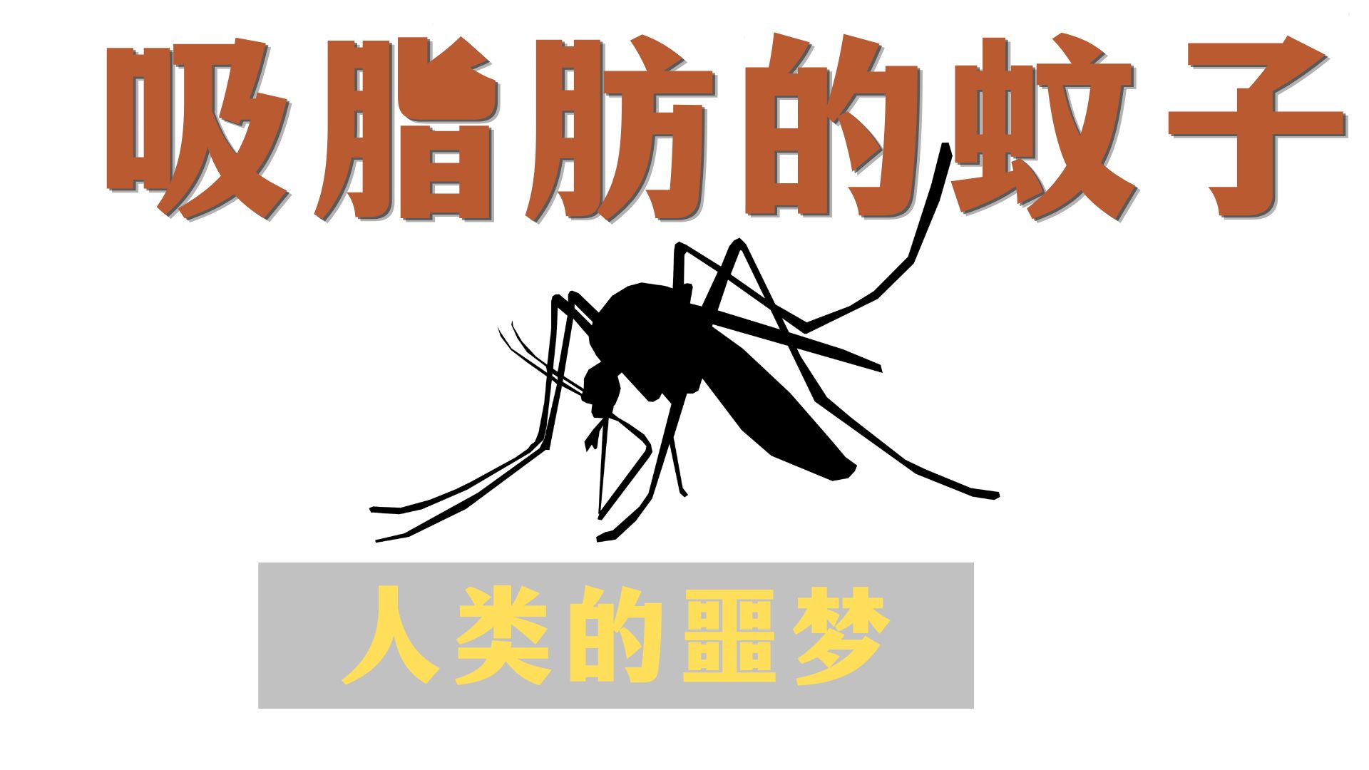 如果蚊子开始吸脂肪会怎么样？