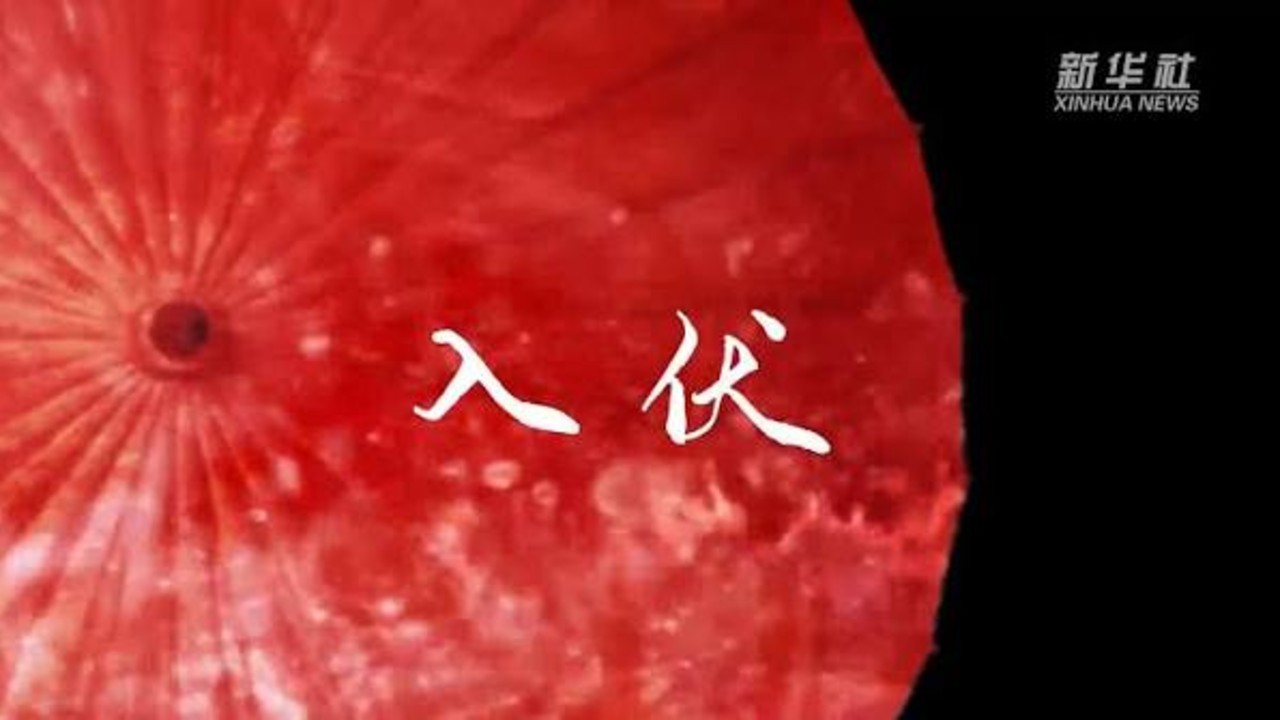 今日正式入伏