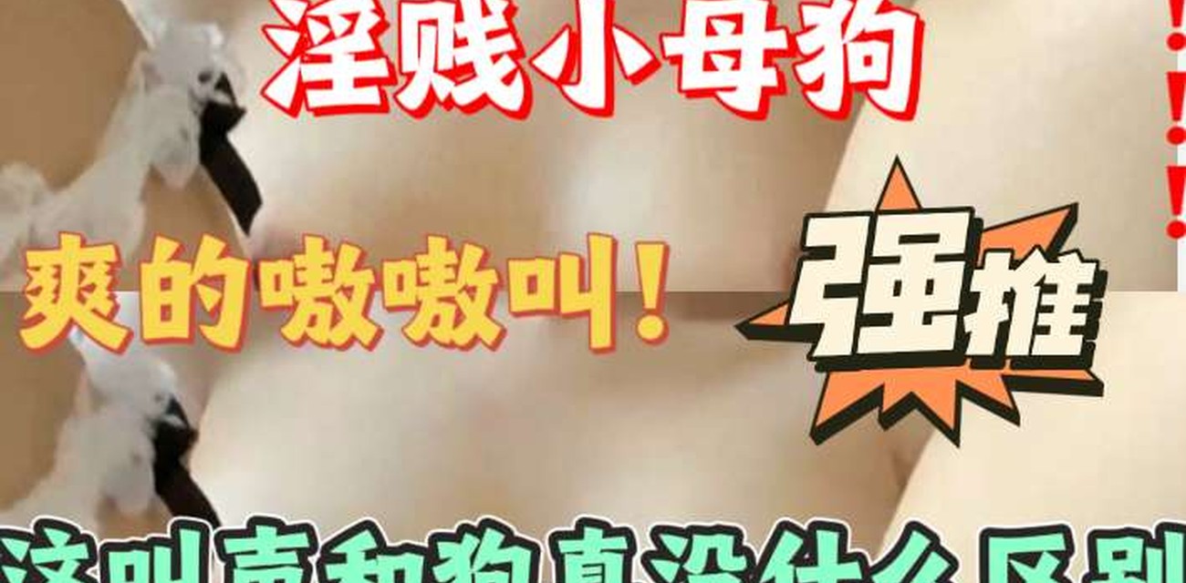 风骚小母狗 情趣诱惑 深夜激情自拍视频视频封面